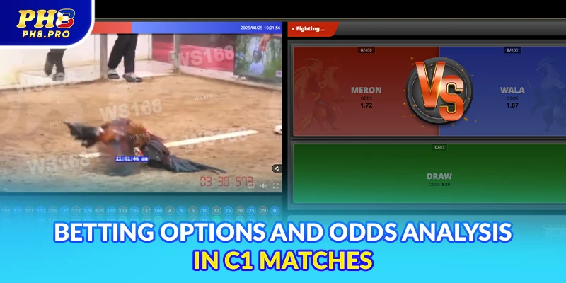 Betting options and odds analysis in C1 matches