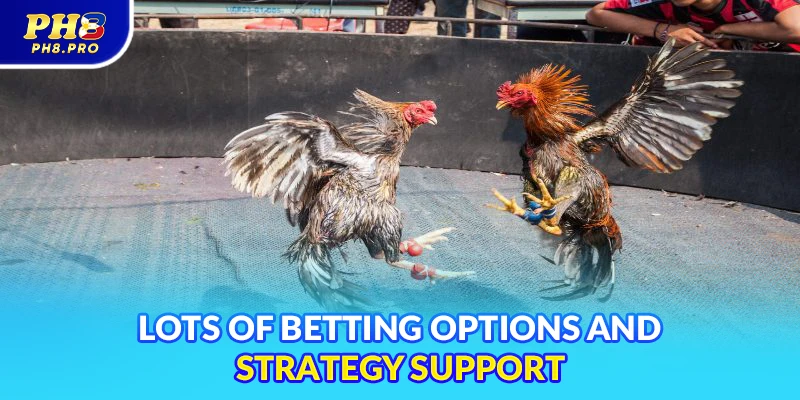 Lots of betting options and strategy support