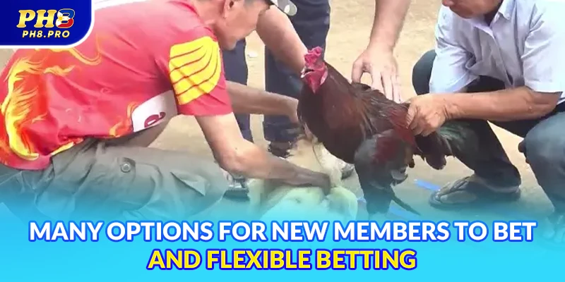 Many options for new members to bet and flexible betting