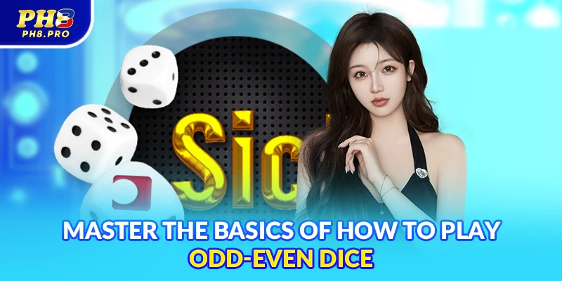 Master the basics of how to play odd-even dice