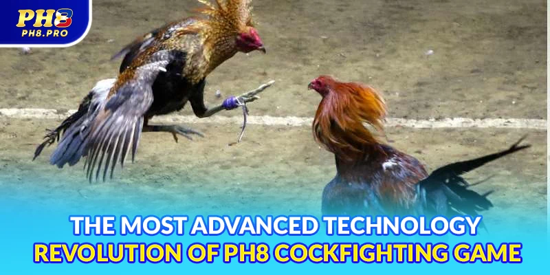 The most advanced technology revolution of PH8 cockfighting game